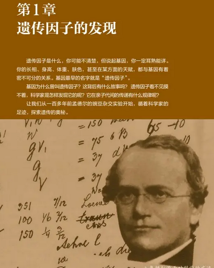 QQ_1781059639815.png