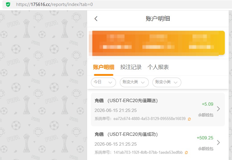 瑞丰提.jpg