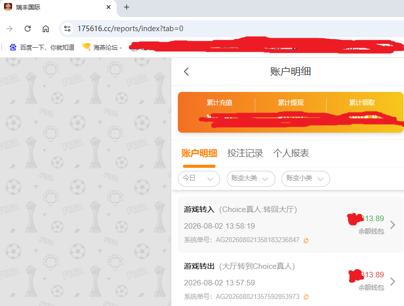 瑞丰国际资金图.png