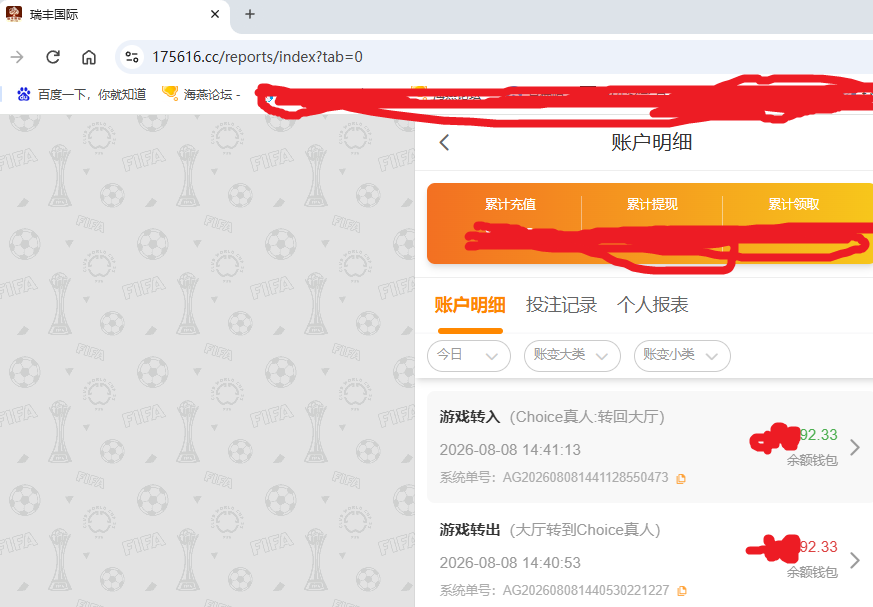 瑞丰国际资金图.png